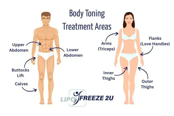 Graphic showing where you can have Body toning Treatment Biggleswade on your body
